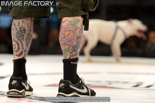 2015-06-13 Milano in the Cage 2015 - Mixed Martial Arts 0390 Out of the Cage